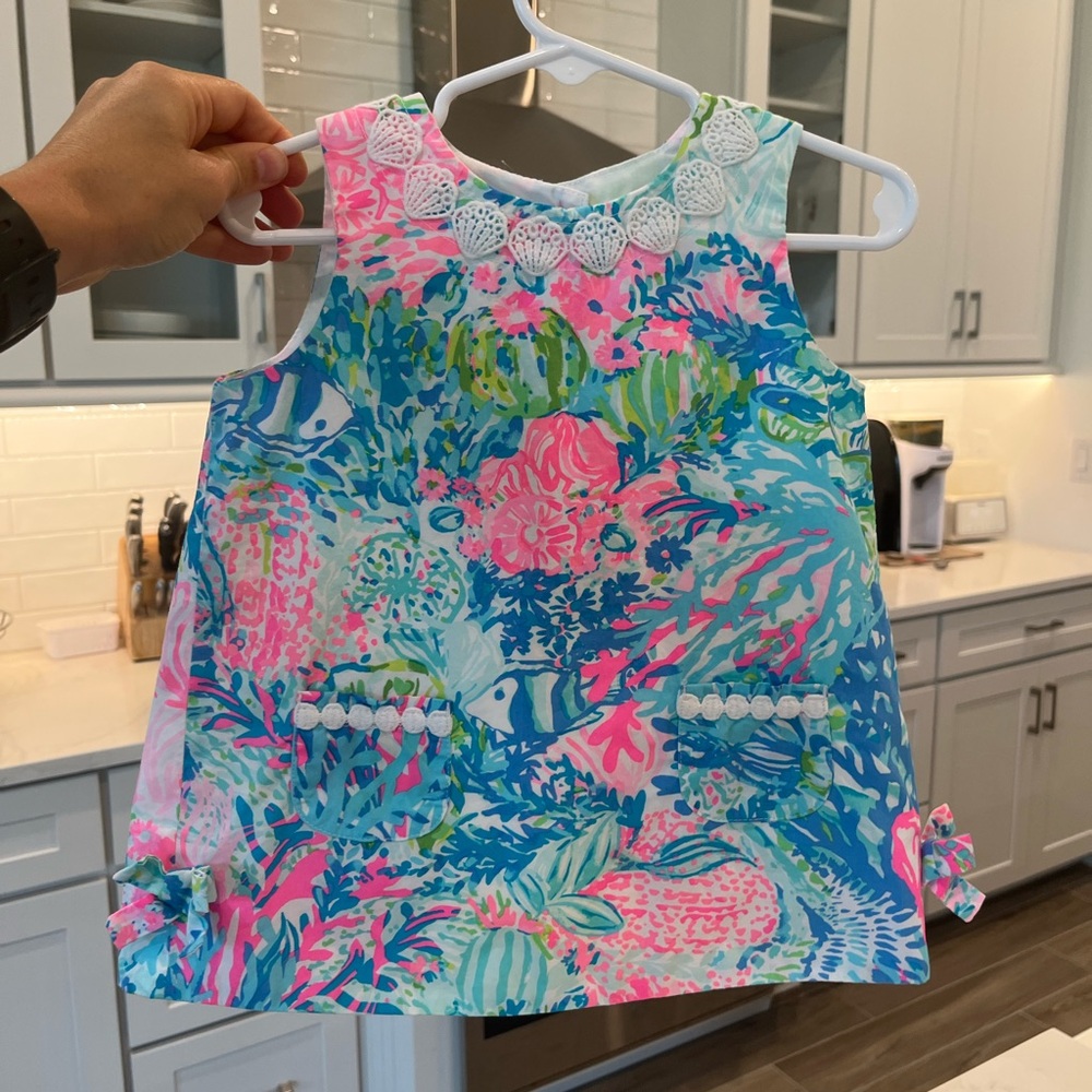 Lilly infant dress. Worn only a few times